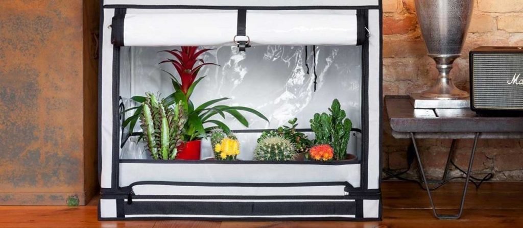 Advantages & Buying Guide for top 3 Grow boxes of 2021 top 3 Grow boxes of 2021