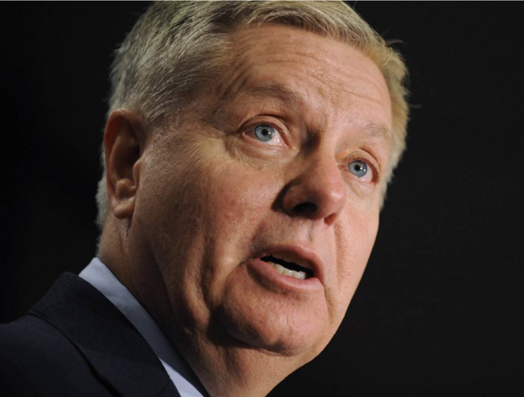 Lindsey Graham Total Net Worth: How Much Is She Earning? - TlwaStoria