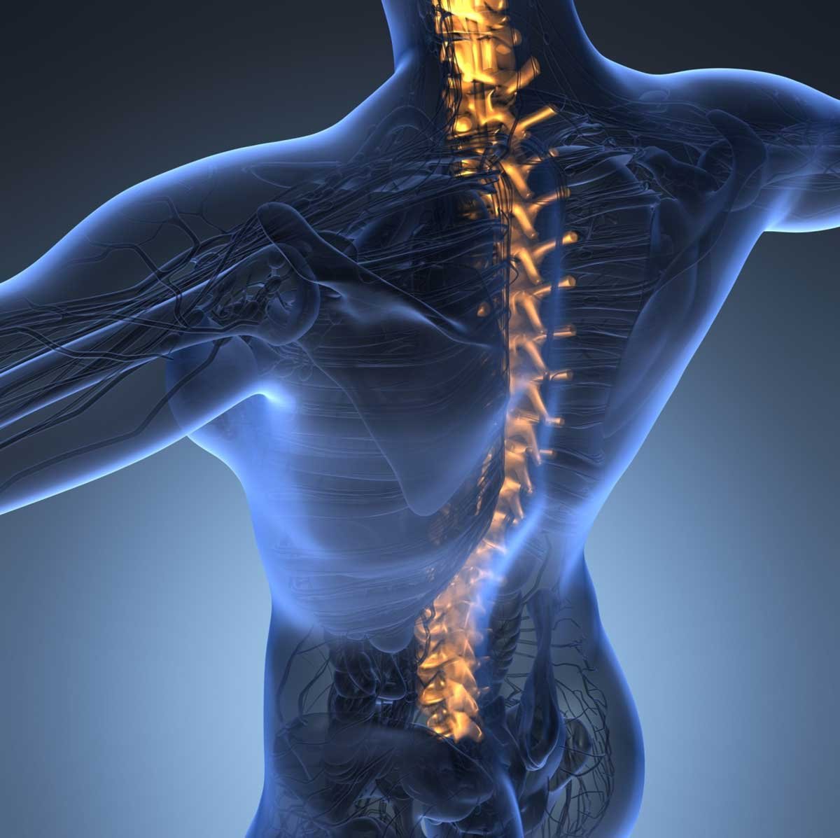 Spinal Cord Injuries