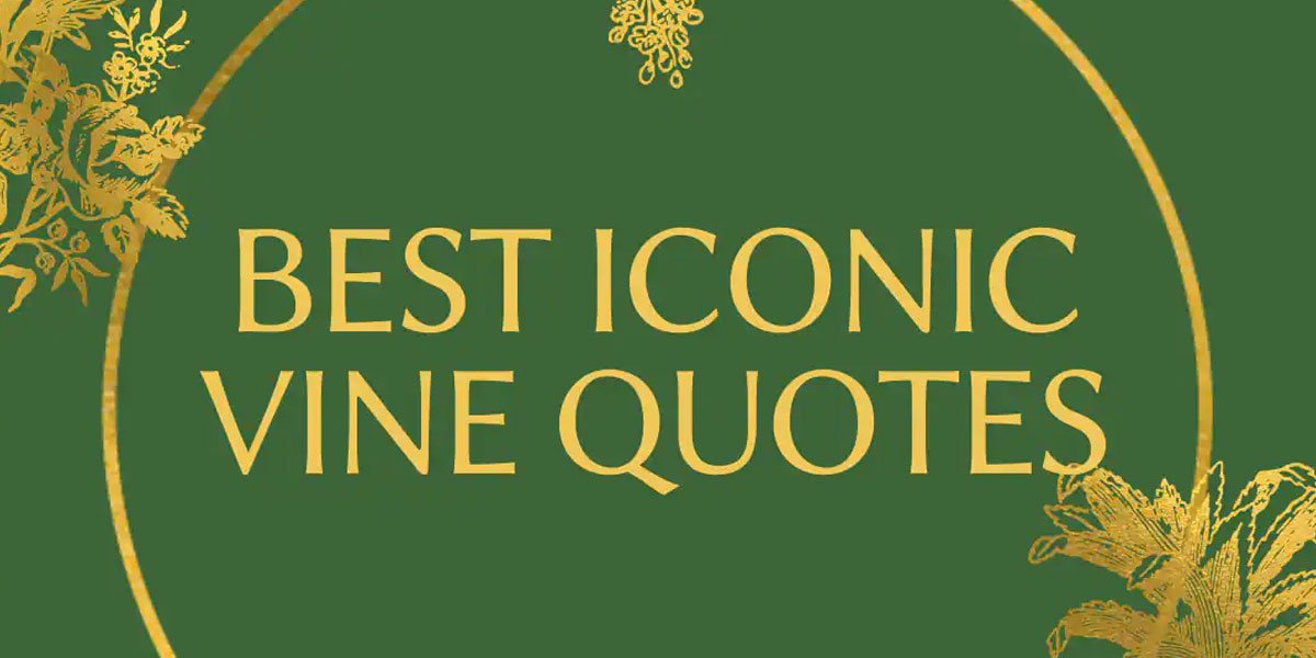 Popular Vine Quotes