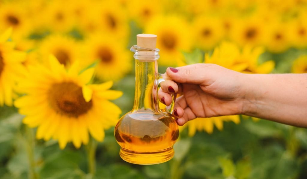 Sunflower Oil For Hair Unknown Hair Hero TlwaStoria