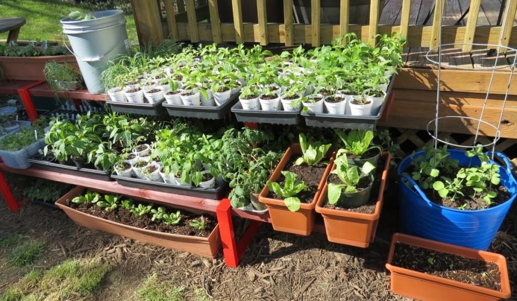 10 Gardening Strategies for Small Residential Spaces container gardening