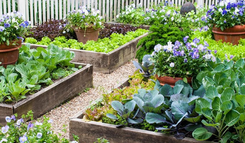 10 Gardening Strategies for Small Residential Spaces - TlwaStoria