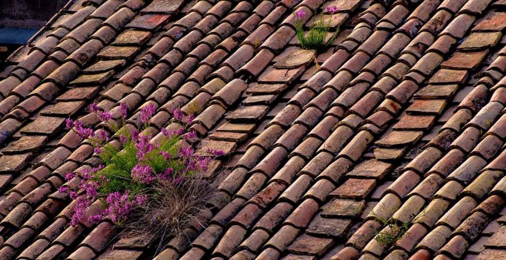 The Five Signs of a Bad Roofing Job The Five Signs of a Bad Roofing Job