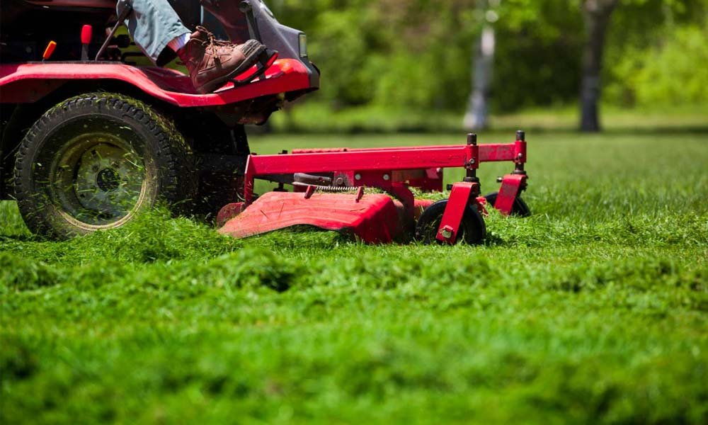 How Much Does It Cost For Lawn Care TlwaStoria