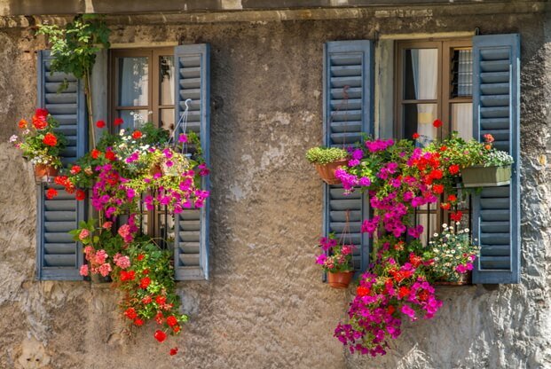 Window Boxes vs. Outdoor Planters - What's The Difference-4