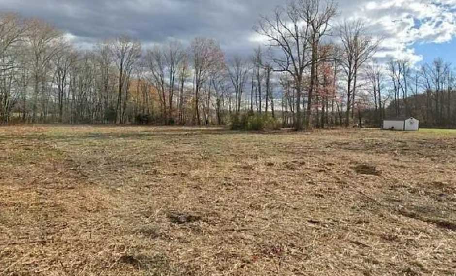 What to Do as a Property Owner